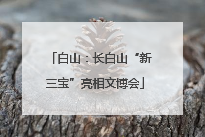 白山：长白山“新三宝”亮相文博会