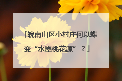 皖南山区小村庄何以蝶变“水墨桃花源”？