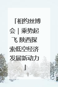 相约丝博会｜乘势起飞 陕西探索低空经济发展新动力