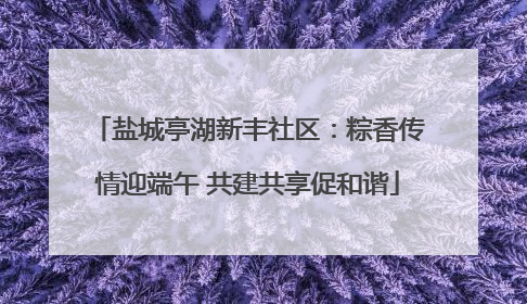 盐城亭湖新丰社区：粽香传情迎端午 共建共享促和谐