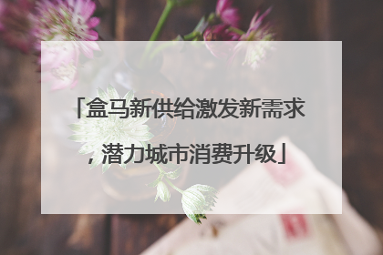 盒马新供给激发新需求，潜力城市消费升级