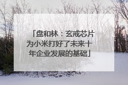 盘和林：玄戒芯片为小米打好了未来十年企业发展的基础