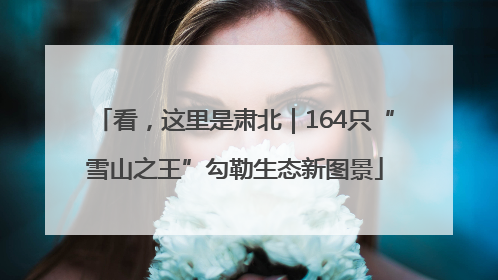 看，这里是肃北｜164只“雪山之王”勾勒生态新图景