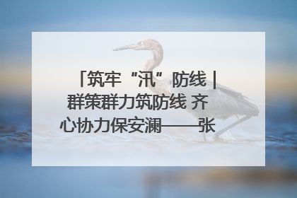 筑牢“汛”防线｜群策群力筑防线 齐心协力保安澜——张家界高新区上下众志成城迎战汛情
