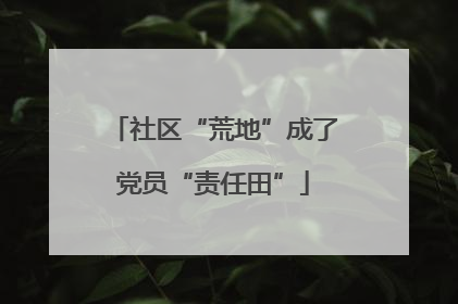 社区“荒地”成了党员“责任田”