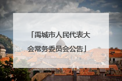 禹城市人民代表大会常务委员会公告