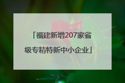 福建新增207家省级专精特新中小企业