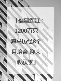 福建连江：1200万只海马历经8个月培育 迎来收获季