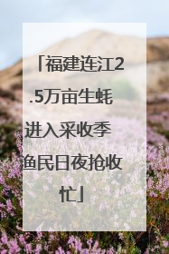 福建连江2.5万亩生蚝进入采收季 渔民日夜抢收忙