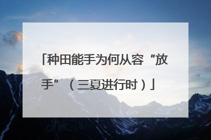 种田能手为何从容“放手”（三夏进行时）