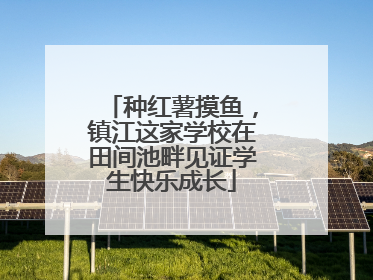 种红薯摸鱼，镇江这家学校在田间池畔见证学生快乐成长