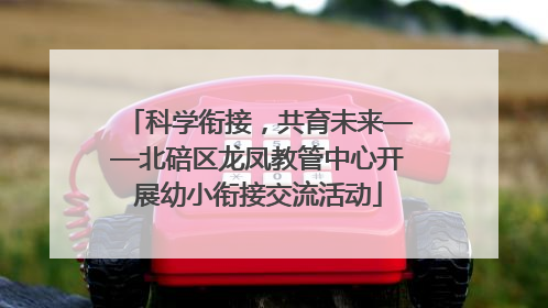 科学衔接，共育未来——北碚区龙凤教管中心开展幼小衔接交流活动