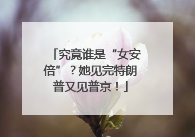 究竟谁是“女安倍”？她见完特朗普又见普京！