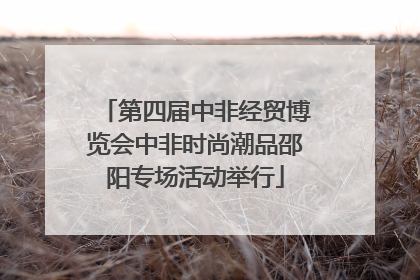 第四届中非经贸博览会中非时尚潮品邵阳专场活动举行