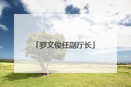 罗文俊任副厅长