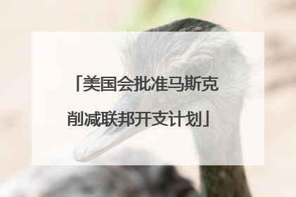 美国会批准马斯克削减联邦开支计划