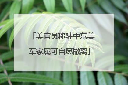 美官员称驻中东美军家属可自愿撤离