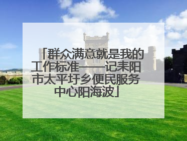 群众满意就是我的工作标准——记耒阳市太平圩乡便民服务中心阳海波