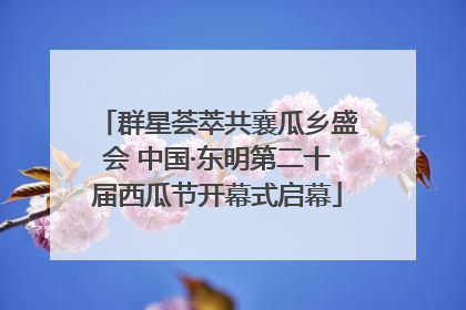 群星荟萃共襄瓜乡盛会 中国·东明第二十届西瓜节开幕式启幕
