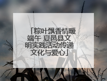 粽叶飘香情暖端午 夏邑县文明实践活动传递文化与爱心