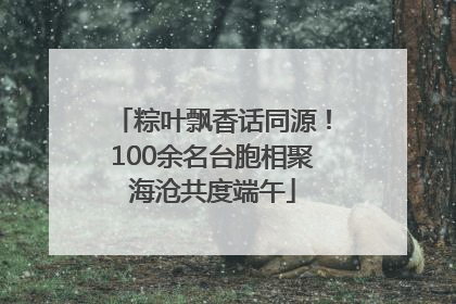 粽叶飘香话同源！100余名台胞相聚海沧共度端午