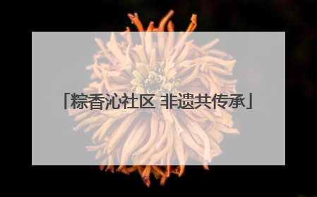 粽香沁社区 非遗共传承