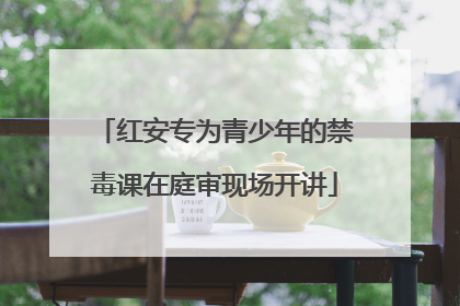 红安专为青少年的禁毒课在庭审现场开讲