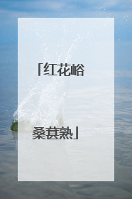 红花峪 桑葚熟