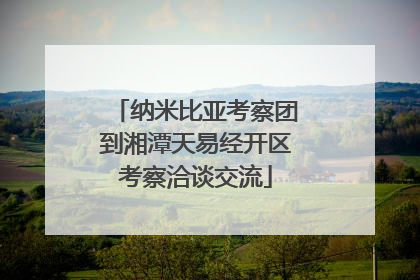 纳米比亚考察团到湘潭天易经开区考察洽谈交流