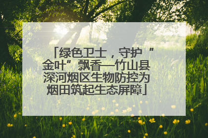 绿色卫士，守护“金叶”飘香—竹山县深河烟区生物防控为烟田筑起生态屏障