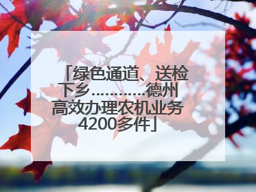 绿色通道、送检下乡…………德州高效办理农机业务4200多件
