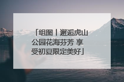 组图丨邂逅虎山公园花海芬芳 享受初夏限定美好