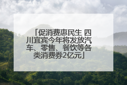 促消费惠民生 四川宜宾今年将发放汽车、零售、餐饮等各类消费券2亿元