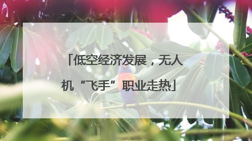 低空经济发展，无人机“飞手”职业走热
