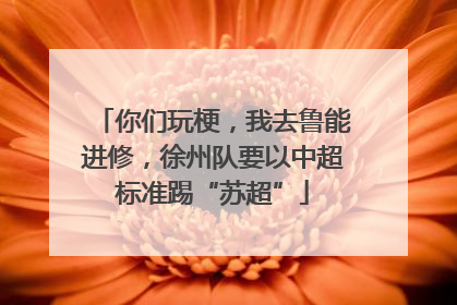 你们玩梗，我去鲁能进修，徐州队要以中超标准踢“苏超”