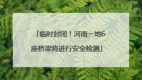 临时封闭！河南一地6座桥梁将进行安全检测