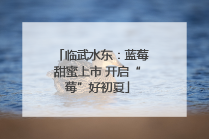 临武水东：蓝莓甜蜜上市 开启“莓”好初夏