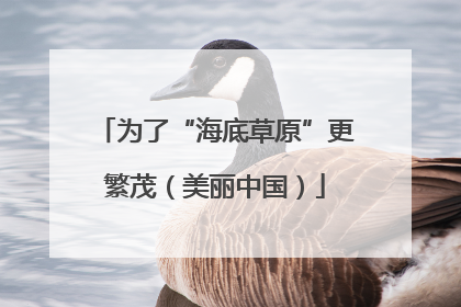 为了“海底草原”更繁茂（美丽中国）