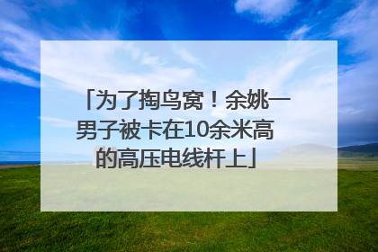 为了掏鸟窝！余姚一男子被卡在10余米高的高压电线杆上