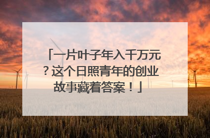 一片叶子年入千万元？这个日照青年的创业故事藏着答案！