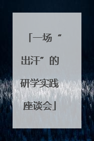 一场“出汗”的研学实践座谈会