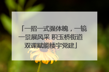 一招一式强体魄，一镜一景展风采 积玉桥街道双课赋能楼宇党建