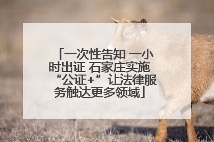 一次性告知 一小时出证 石家庄实施“公证+”让法律服务触达更多领域