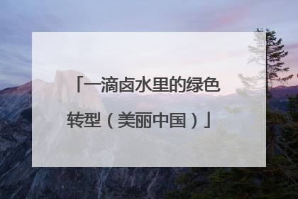 一滴卤水里的绿色转型（美丽中国）