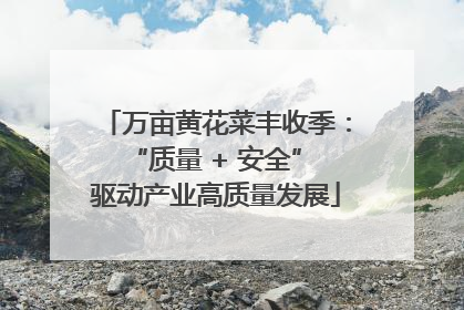 万亩黄花菜丰收季：“质量 + 安全” 驱动产业高质量发展