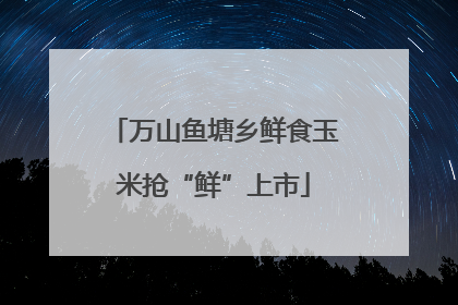 万山鱼塘乡鲜食玉米抢“鲜”上市