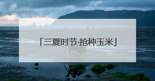 三夏时节·抢种玉米