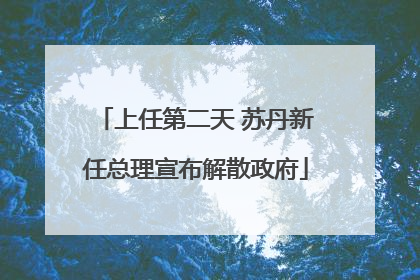 上任第二天 苏丹新任总理宣布解散政府