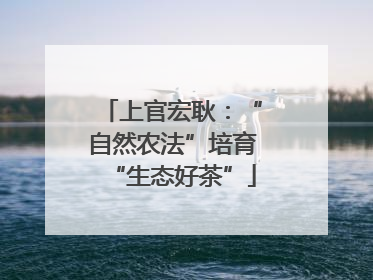 上官宏耿：“自然农法”培育“生态好茶”