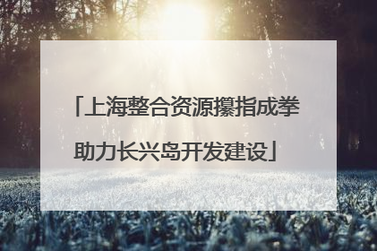 上海整合资源攥指成拳助力长兴岛开发建设